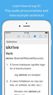 norwegian dictionary. iphone images 2