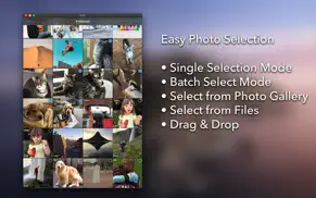 exif - view and edit meta data iphone resimleri 2