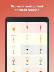 cocktail flow - drink recipes ipad images 1