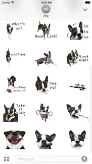 iggy - animated boston terrier iphone images 3