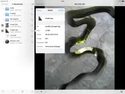 usb disk se - explorateur iPad Captures Décran 3
