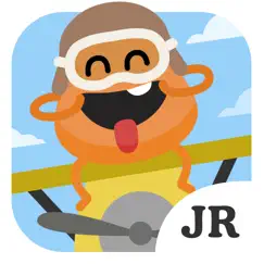 dumb ways jr madcap's plane logo, reviews