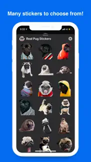 real pug stickers iphone images 1