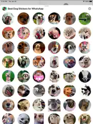 best dog stickers for whatsapp ipad resimleri 2