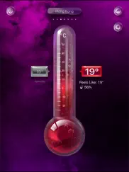 digital thermometer app ipad images 3