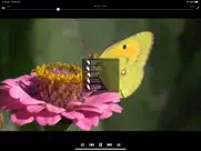 video manager pro for cloud iPad Captures Décran 4