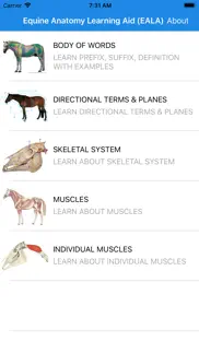 equine anatomy learning aid iphone images 1