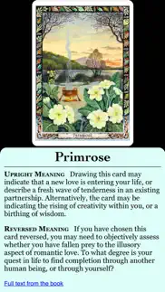 druid oracle cards iphone images 4