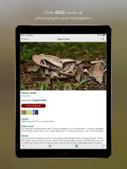 esnakes southern africa ipad images 4