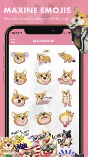 maximojis - corgi dog stickers iphone images 2