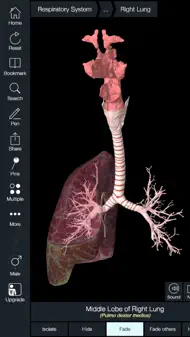 Essential Anatomy 5 iphone bilder 2