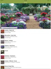 armitage’s great garden plants ipad images 3