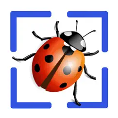 bug identifier app logo, reviews