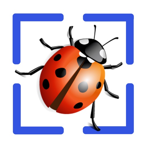 Bug Identifier App app reviews download