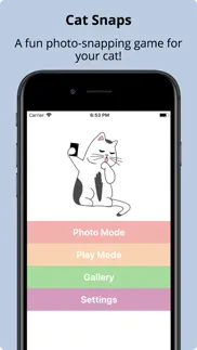 cat snaps iphone images 1