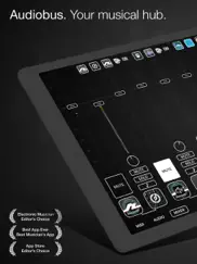 audiobus: mixer for music apps ipad images 1