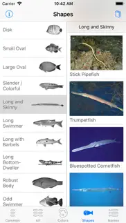 deep blue divers fish guide iPhone Captures Décran 4