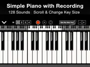 tiny piano synthesizer chord ipad images 1