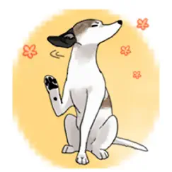 cute whippet dog sticker logo, reviews