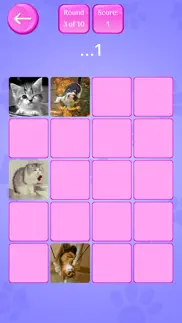 cute cats memory match game iphone images 4