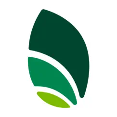 pelayo logo, reviews