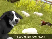 silly sheep run- farm dog game ipad images 2