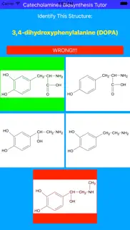 catecholamines synthesis tutor iphone images 2
