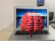 ar human brain ipad images 3
