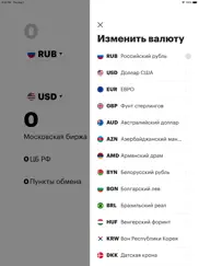 Конвертер валют онлайн РБК айпад изображения 4