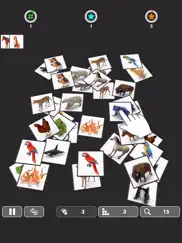 ollect - pair matching game ipad images 1