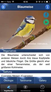 bird id - garden birds germany iphone images 2