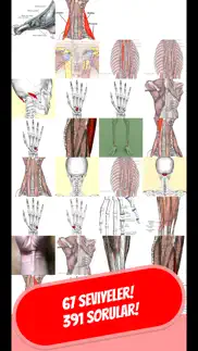 anatomi & iskelet quiz türkçe iphone resimleri 1