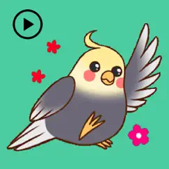 animated lovely cockatiel bird logo, reviews