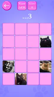 cute cats memory match game iphone images 3