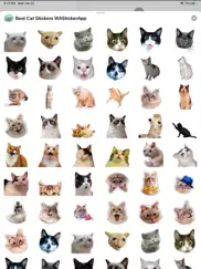 best cat stickers wastickerapp ipad resimleri 1