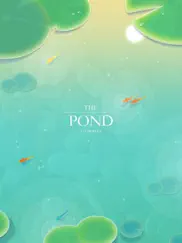 pond - save the little carp ipad images 1