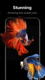 live wallpapers plus hd 4k iphone images 2