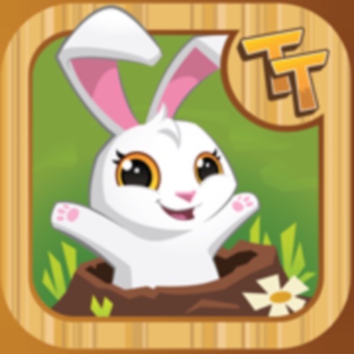 Tunnel Town app reviews download