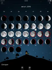 Лунный календарь на 2021 айпад изображения 3