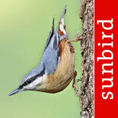 bird id - british isles birds logo, reviews
