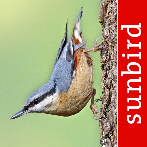 Bird Id - British Isles birds app reviews download