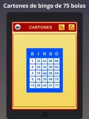 cartones de bingo ipad capturas de pantalla 3