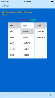german adjective endings iphone bildschirmfoto 3