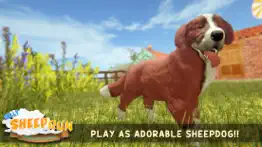 silly sheep run- farm dog game iphone images 1