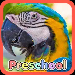 wild animal preschool games logo, reviews