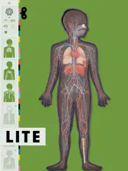 the human body lite ipad images 1