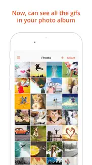 gif viewer - the gif album iphone images 1
