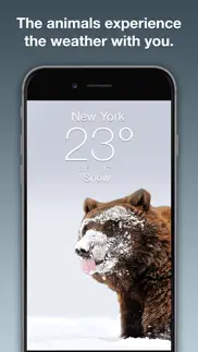 wildlife wallpaper weather iphone images 2