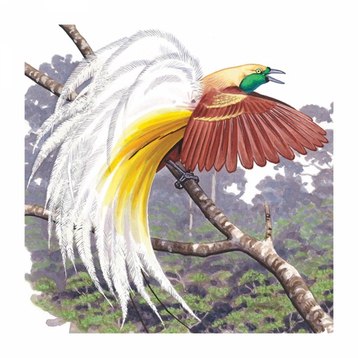 Birds of New Guinea app reviews download
