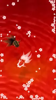 wa kingyo le - poisson rouge iPhone Captures Décran 1